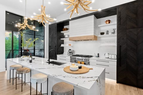 Dream Contemporary Custom Kitchen with 48” Gas Range, Fridge and Freezer with ice maker, Dishwasher, Microwave/Airfryer, all the appliances you need plus the small basics in the pantry. Even a hidden spice rack to blow your mind.