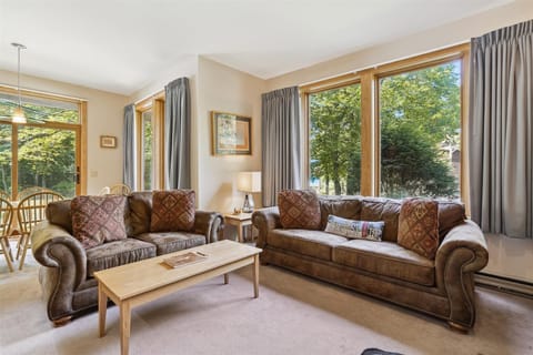 Natural lighting in the living area.