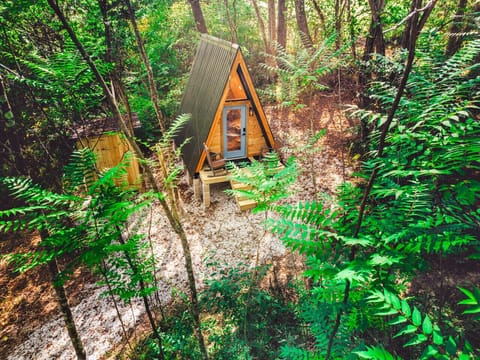 Welcome to the Blue Brambler - your tiny A-frame Ohio retreat! Book your Fall nature getaway today!