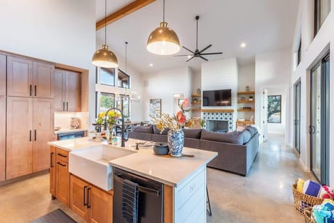 Open concept kitchen, living room.