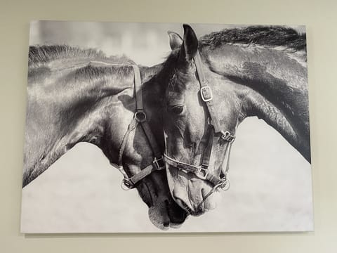 Welcome to “The Horse Lover.”