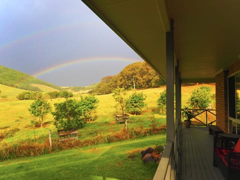 Land of rainbows 