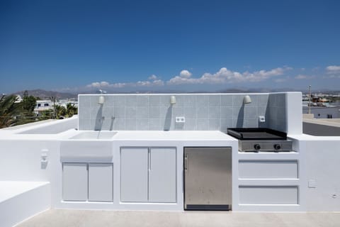 Rooftop kitchen and electric grill