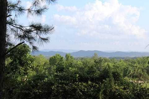    Ouachita Mountain views