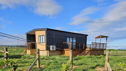 View from vineyard