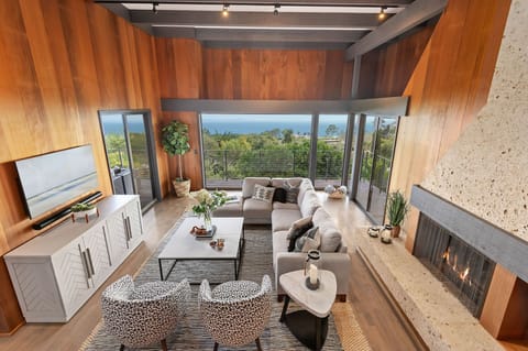 Top down view of grand living room