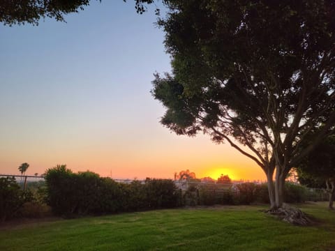 Amazing sunsets.
