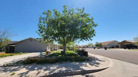 from the corner of the house