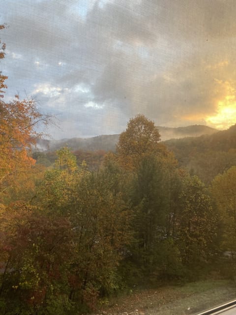 View from the primary bedroom in the morning this past fall