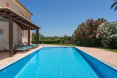 Sunlit Private Pool Surrounded by Lush Greenery and Blooming Flowers