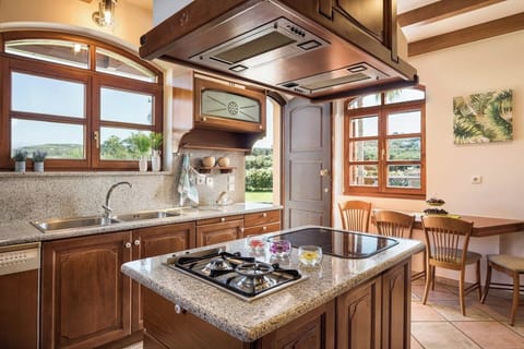 Well-Equipped Kitchen with Stylish Wooden Details