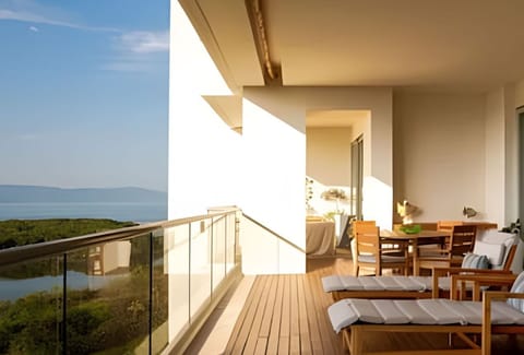 Balcony / Terrace