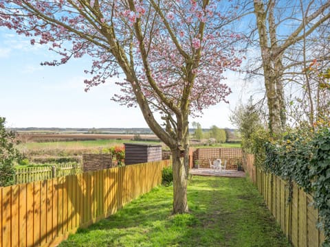 Garden | The Cottage, Ipswich