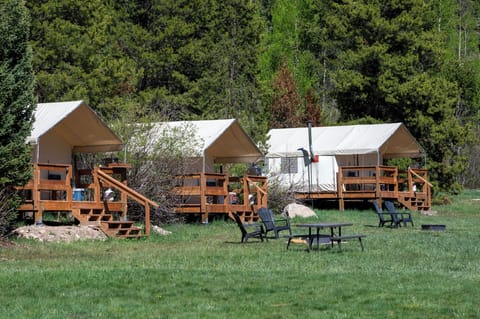 Glamping20Tents204-6