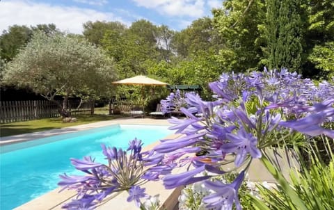 Swimming pool view