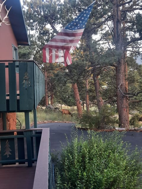 Lower and upper decks