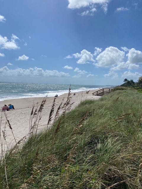 Beach view 
