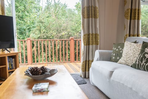 Living Room / Lounge