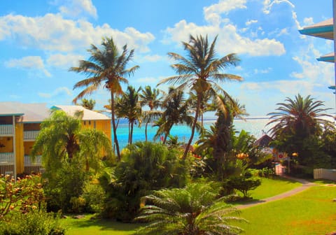 Your view from Seaside Serenity.