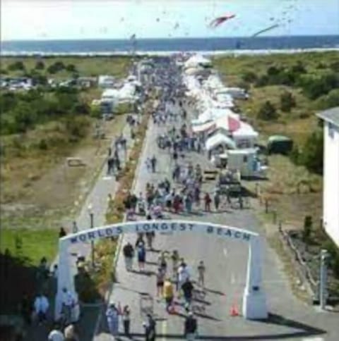 Check us out for Long Beaches Festivities!