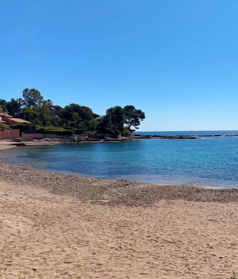 Beach 10m from the house