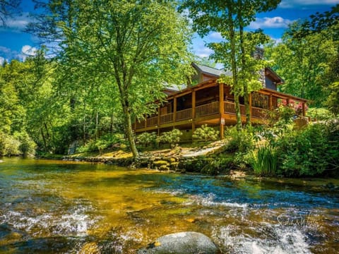 Our cabin backs up to and has direct access to Big Snowbird Creek.