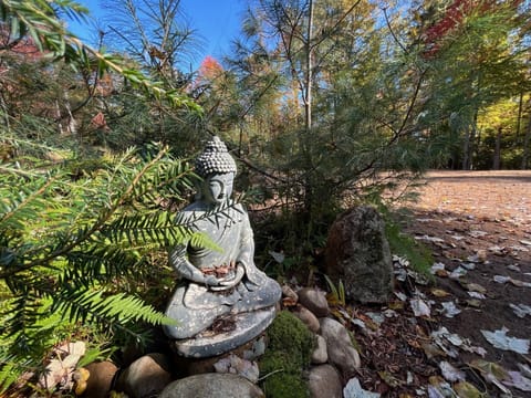 Zen garden Buddha