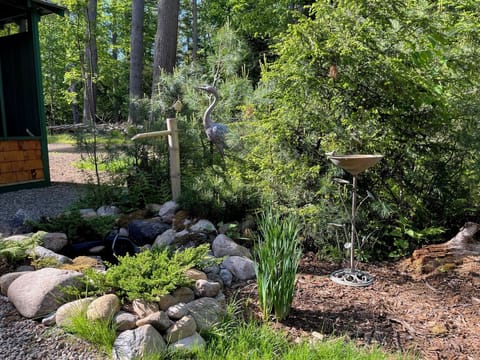 Zen Garden Pond West