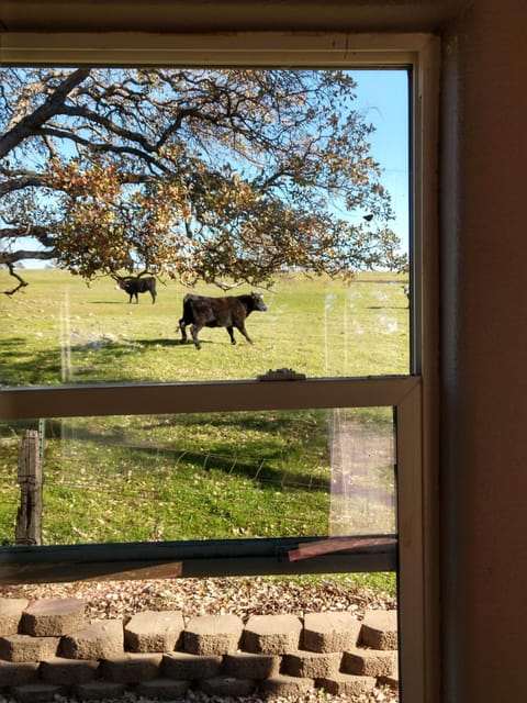 View from Farm House
