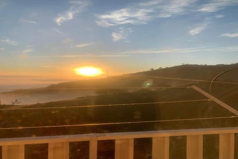 Region [summer] (>5 km)