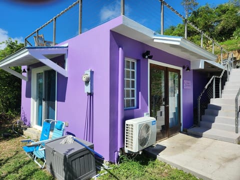Purple Flamingo