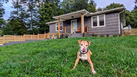 Welcome to Grovemont Retro Retreat