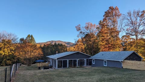 Fall color abounds in the view from the backyard
