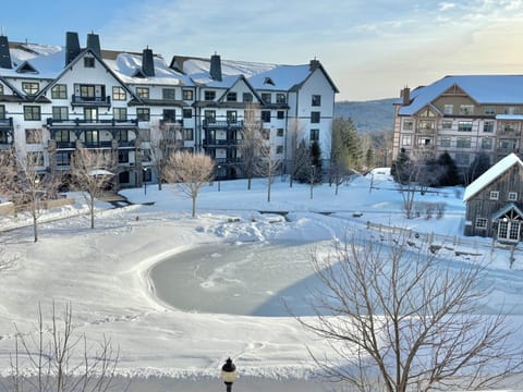 Winter view of ice skating rink