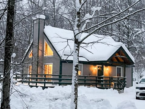 Front view in the winter