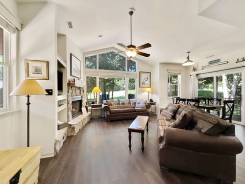 Living room with 2 queen fold out sofas