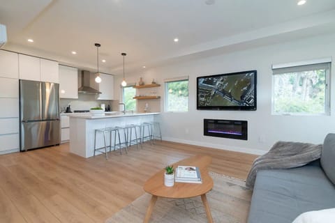 Kitchen and Living Space 