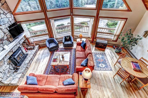 Family Room. View from the upper level. 