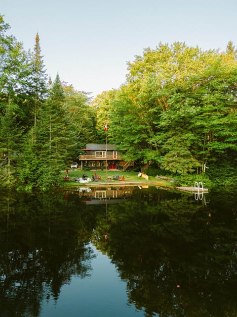 Magical cottage nestled between the trees!
