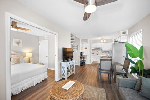 Welcome to The Cove 205B!