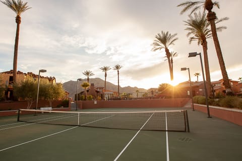 Sport court