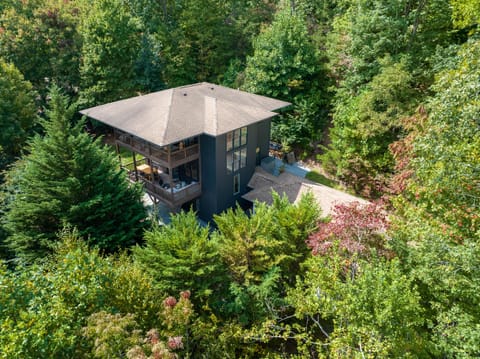 The Tree House