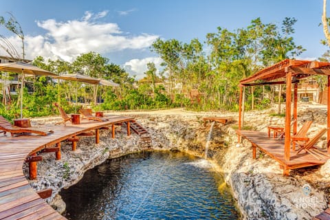 Nature's swimming pool - the cenote