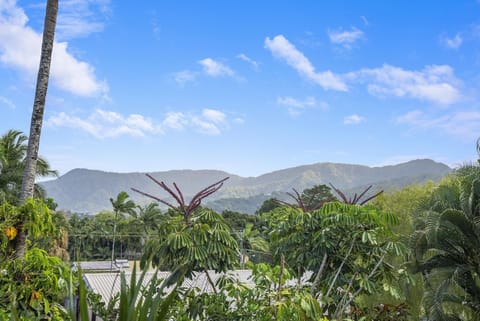 Enjoy this breathtaking view of the tropical mountains
