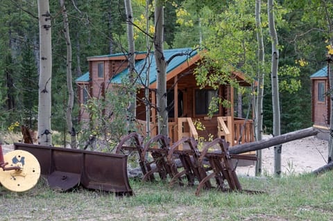 Navajo Cabin Exterior