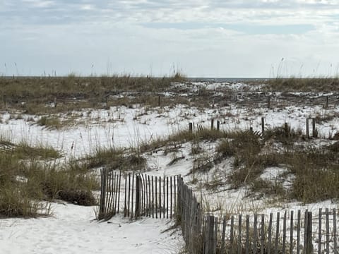 Rear beach view from back porch