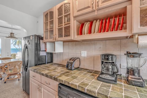 Kitchen View 2- Fridge Toaster Coffee Maker and Blender