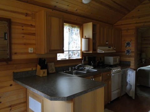 cabin20kitchen