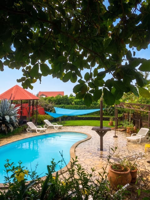 Swimming pool view