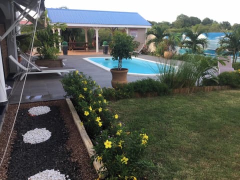 Swimming pool view